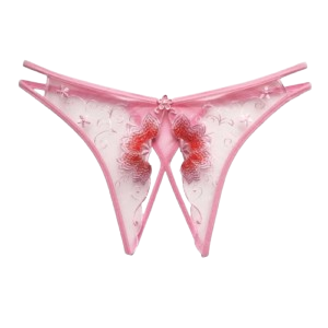 Elegant pink lace thong panty from BikiniSexzy exquisite accessories collection