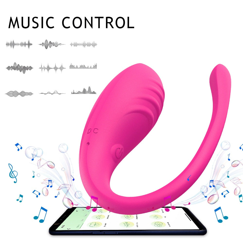 Bikinisexzy APP controlled wearable stimulator with packaging